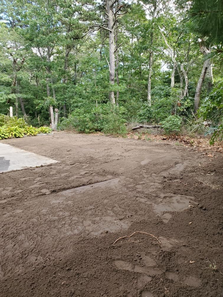 Dirt area in a wooded setting next to a concrete patio. Trees and greenery in background.
