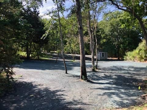 Gravel driveway lined with trees, leading toward a small shed, surrounded by lush green foliage under a sunny sky.
