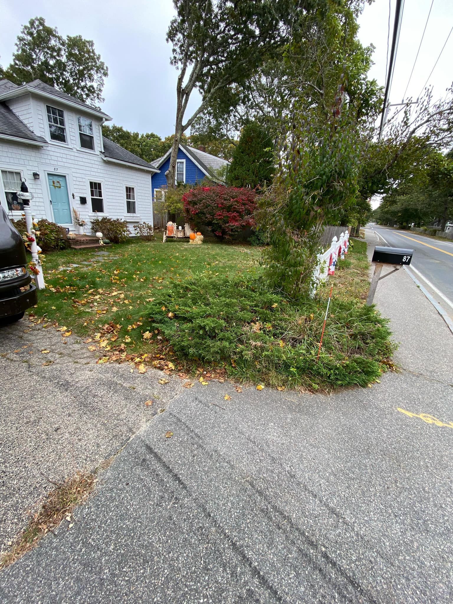 A white house with blue door and front yard with overgrown vegetation, next to a street with a car.