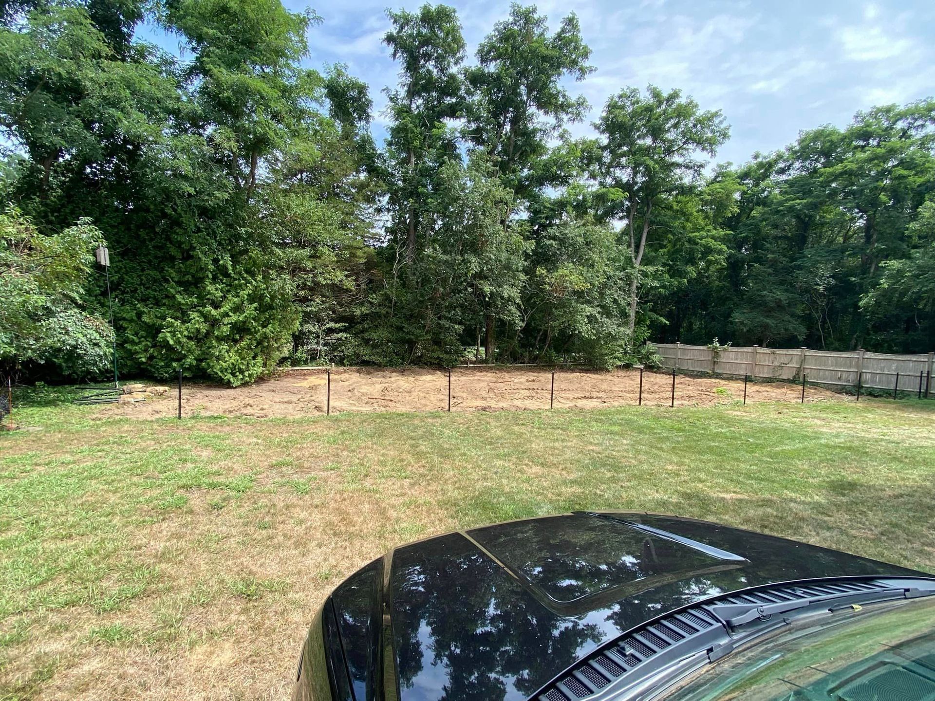 Black car hood in foreground, grassy yard, row of metal posts, trees and brush in the background.