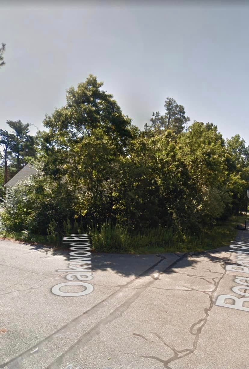 Intersection with trees and foliage. Paved road with utility covers. White building partially visible.