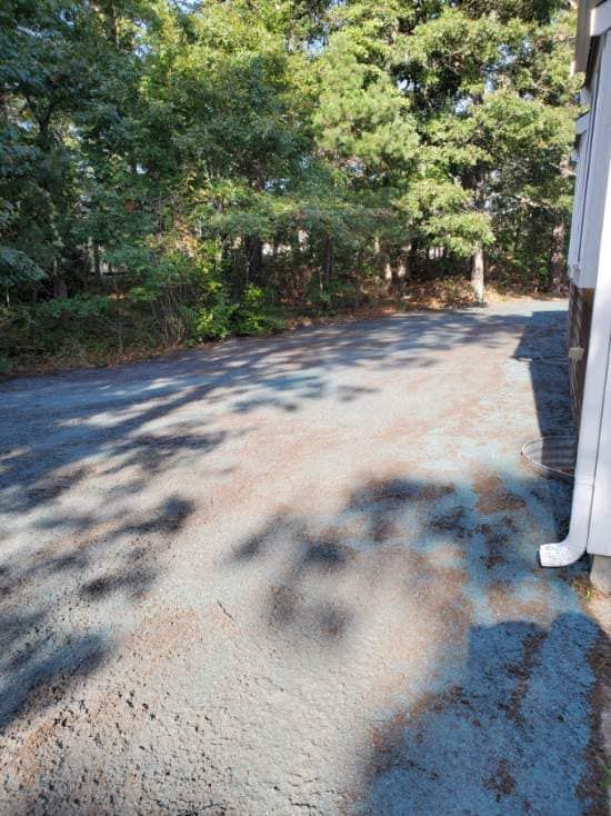 Asphalt driveway shaded by trees, with light on a white building's edge.