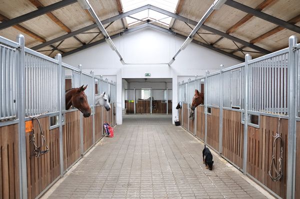 A horse stable with horses looking out of their stalls