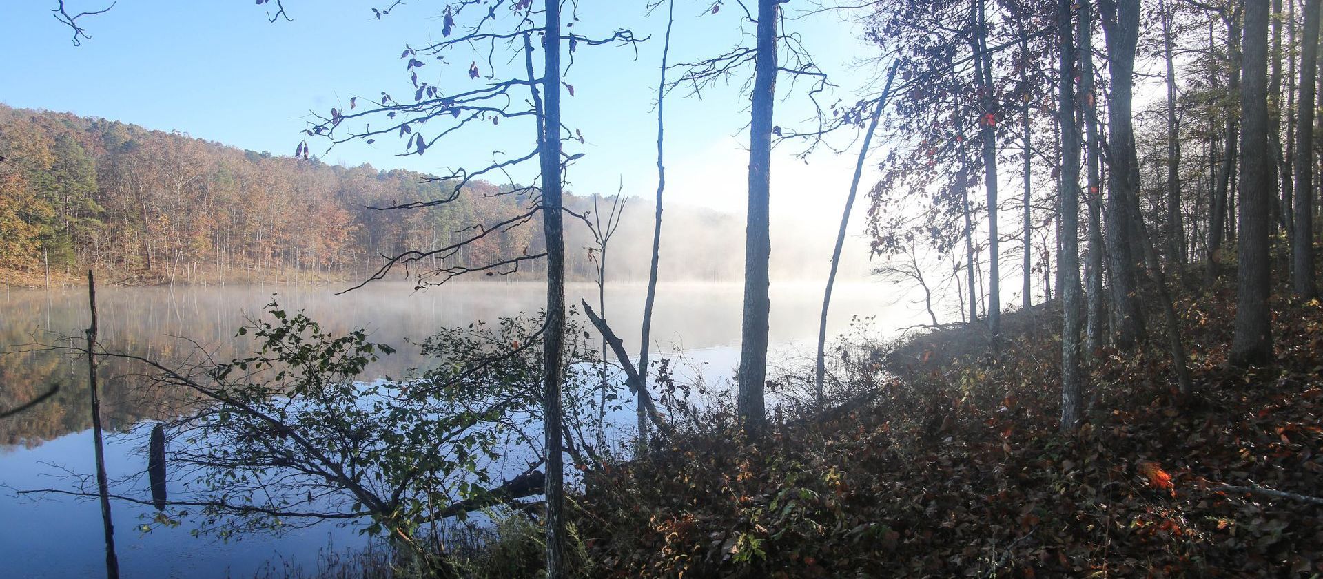 A lake surrounded by trees on a foggy day