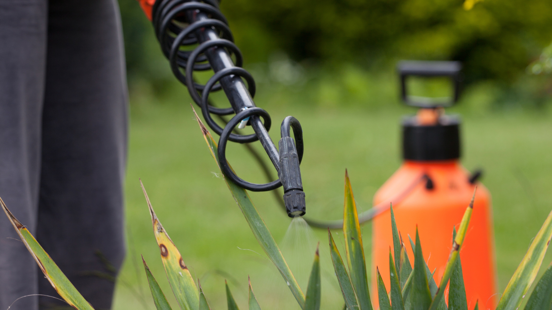 a person is using a red lawn mower to cut the grass in a park .