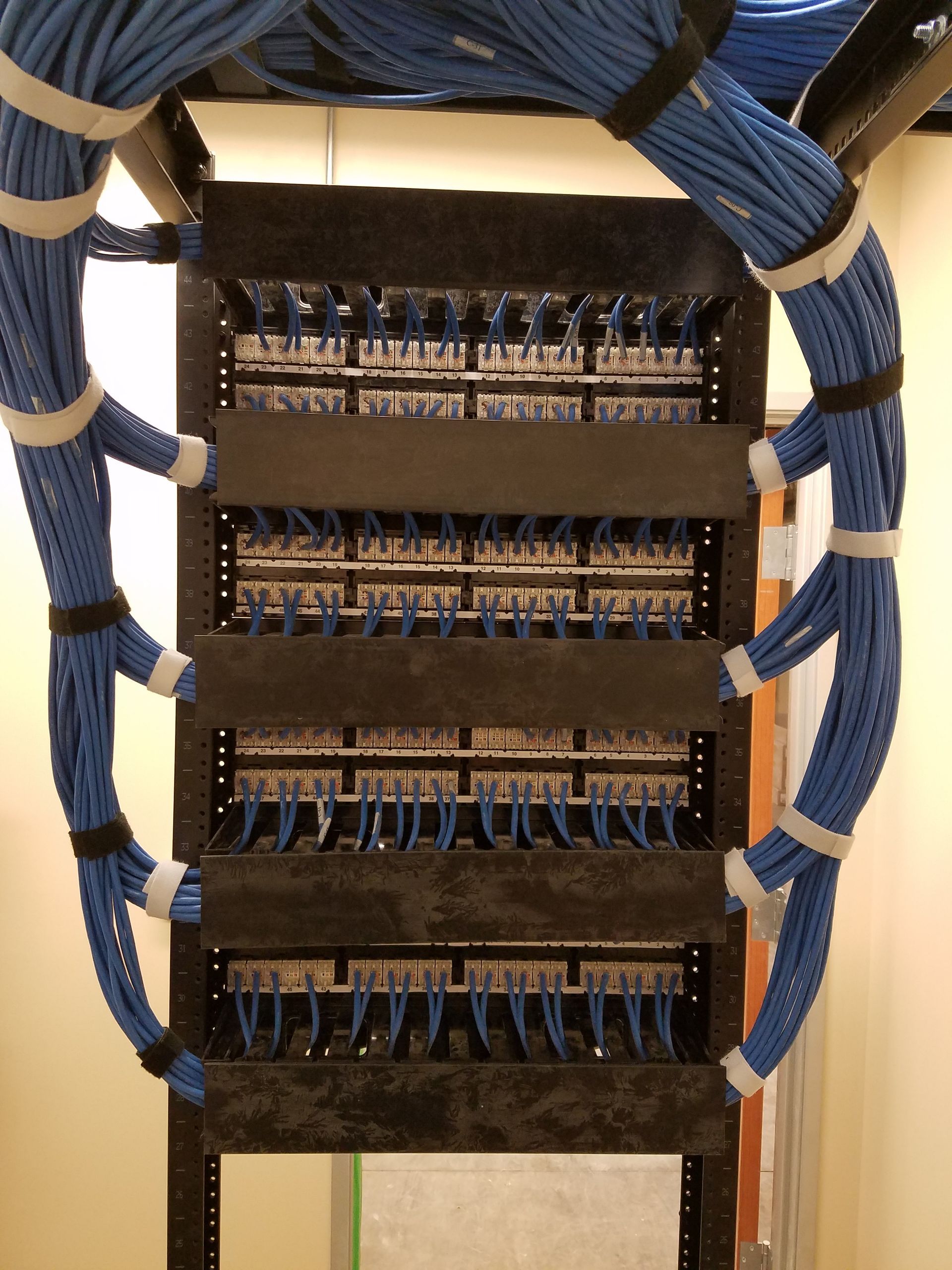 A bunch of blue wires are hanging from a rack