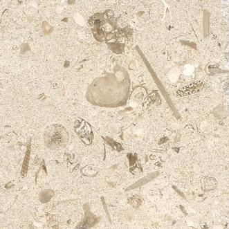 Close-up of beige sand with small shells and pebbles scattered throughout
