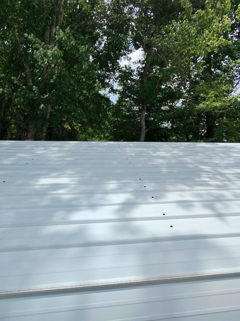 White corrugated metal roof in foreground with green trees under a bright sky behind it