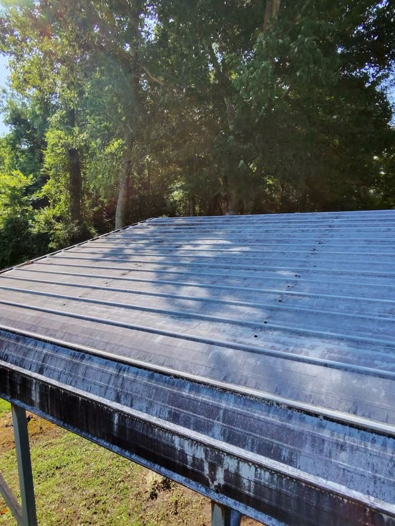 Sunlit corrugated metal roof with trees and greenery in the background
