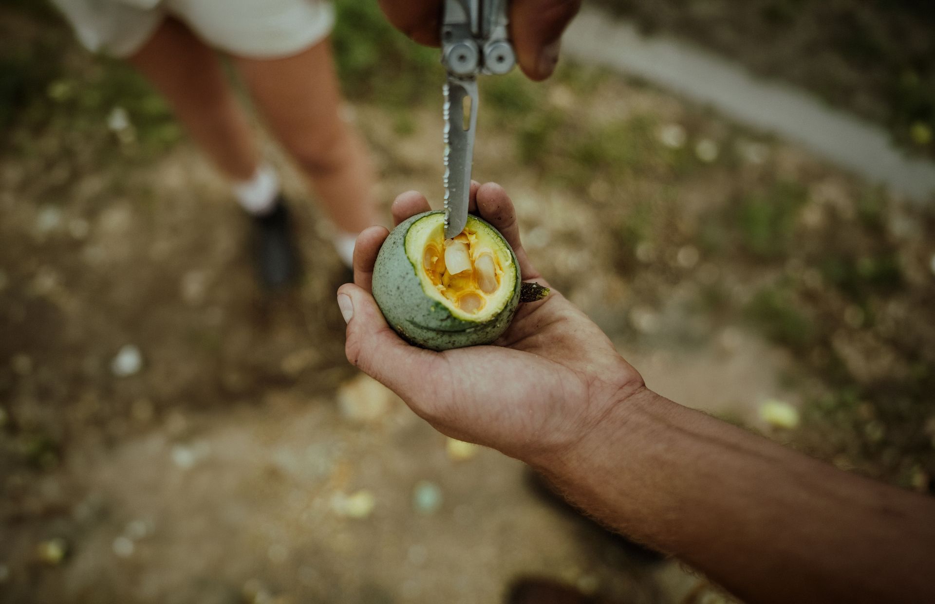 Hand holding a split passion fruit under a knife, with yellow pulp visible outdoors.