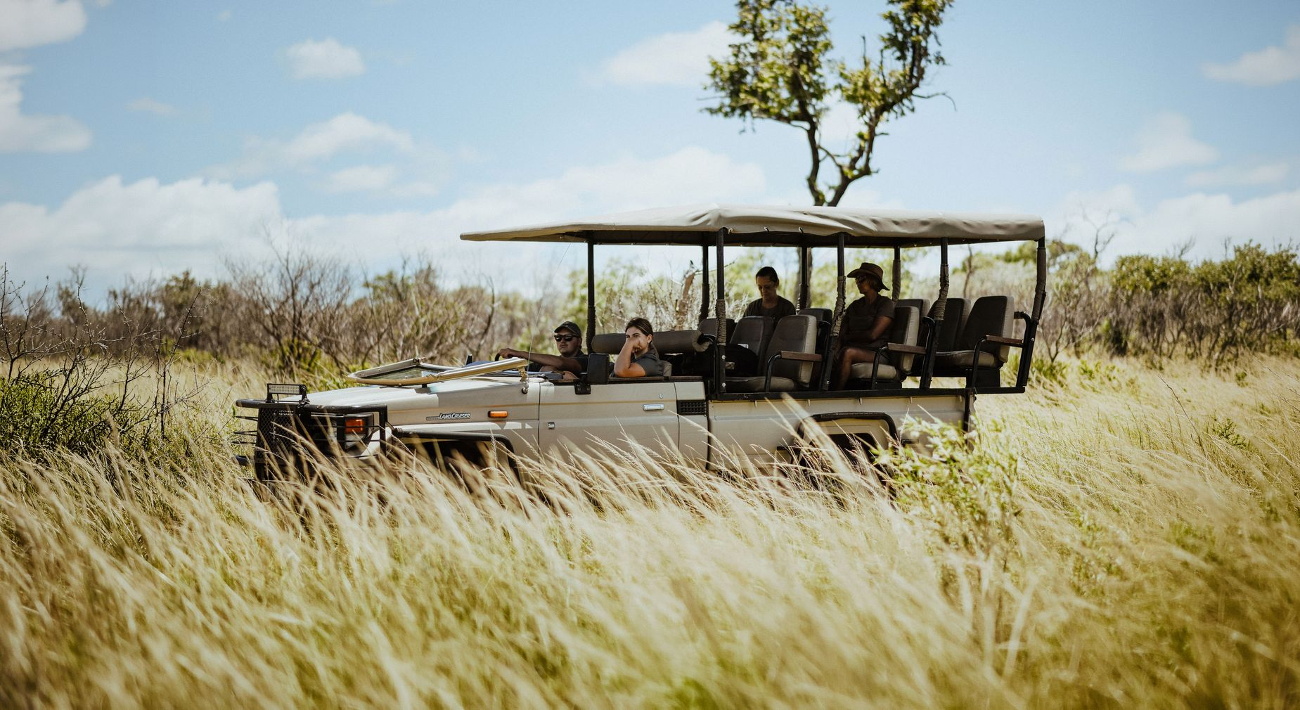 Safari vehicle driving through tall grass with passengers under a canopy beside a lone tree