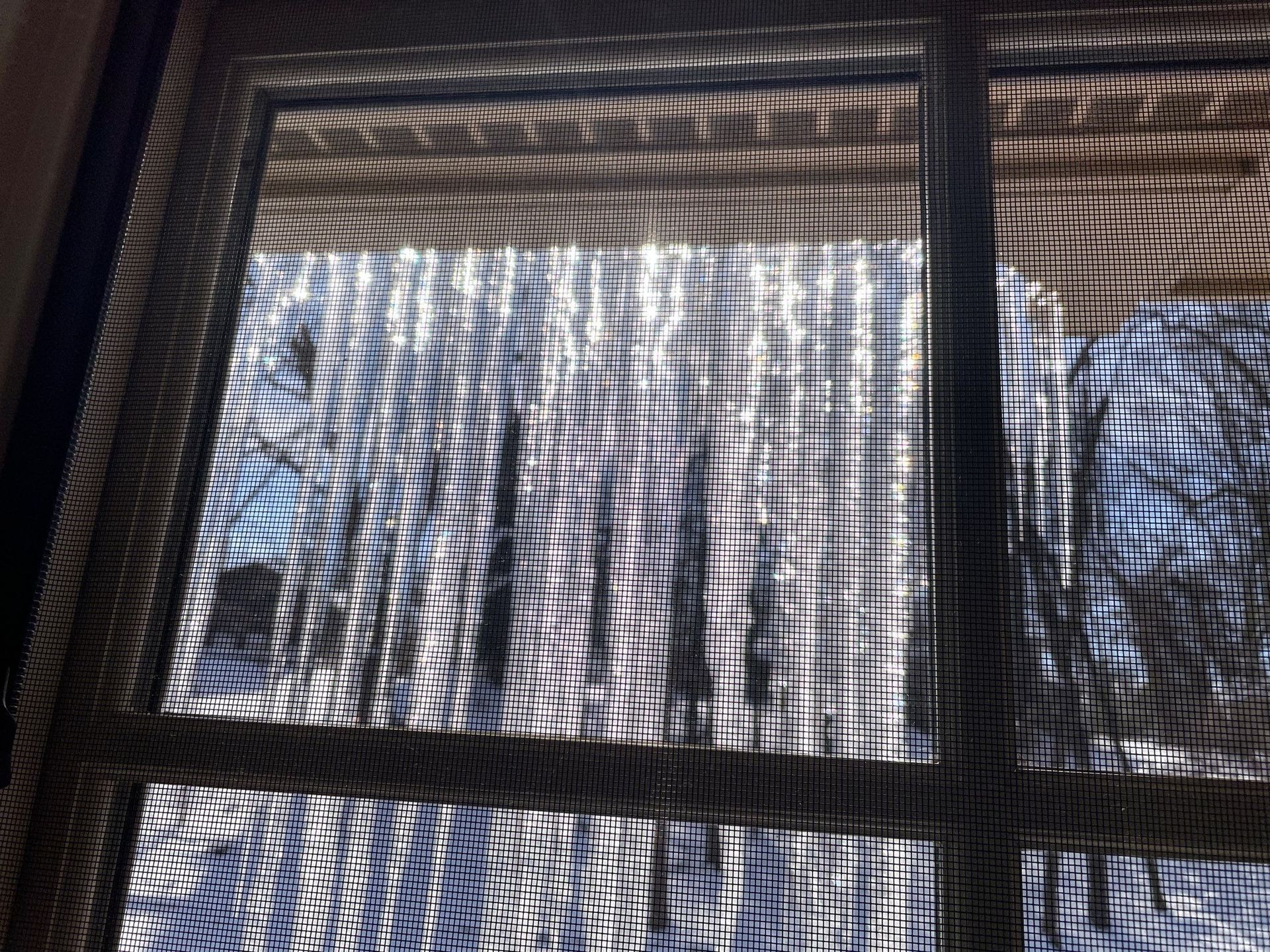 Sunlight and tree shadows cast across a window with blinds
