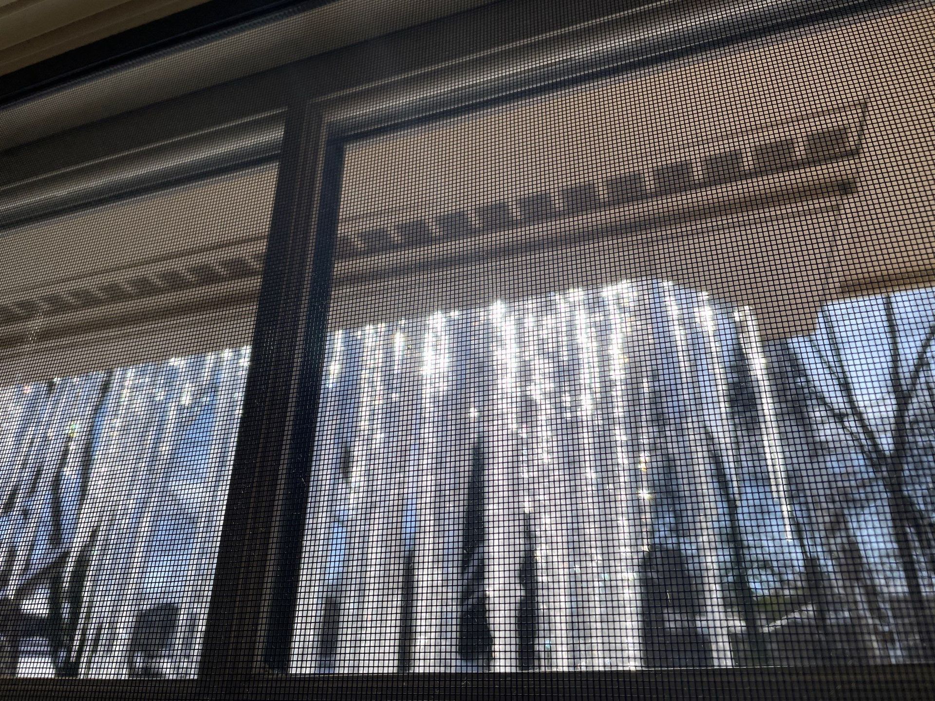 Window view through a mesh screen of bare trees and a tall white building on a sunny day