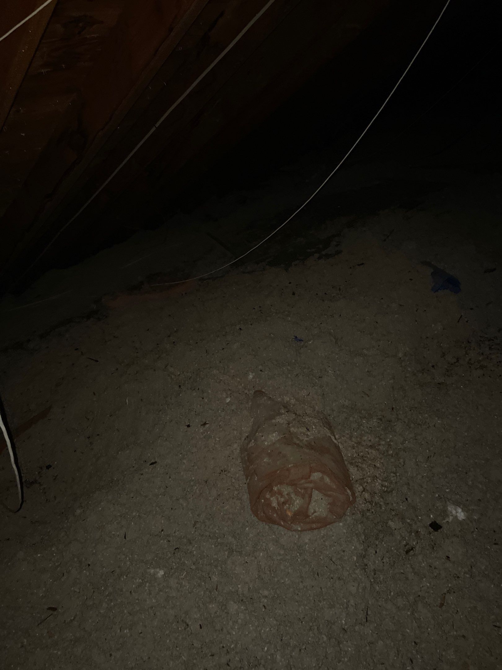 A small plastic bottle on a dark carpeted floor under low light.