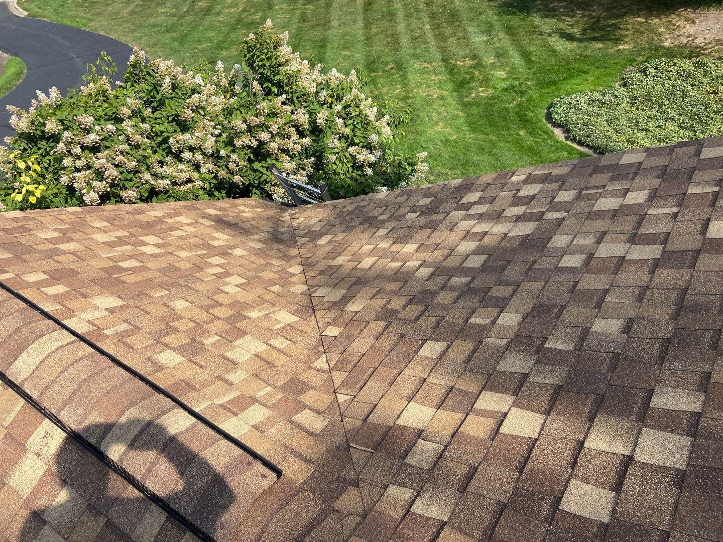 Diagonal shingled roof above a green lawn and flowering bushes, with a shadow in the foreground