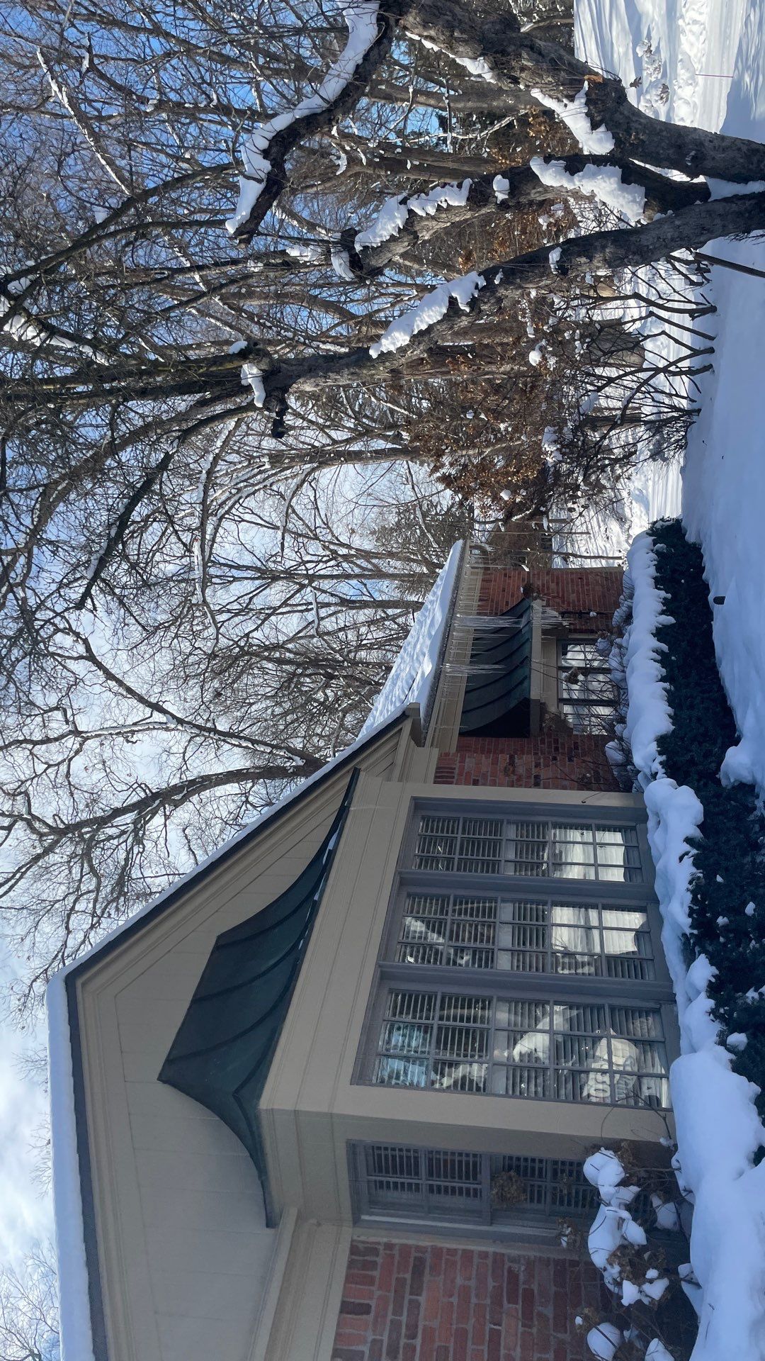 Snowy house with large windows and bare trees in a winter yard