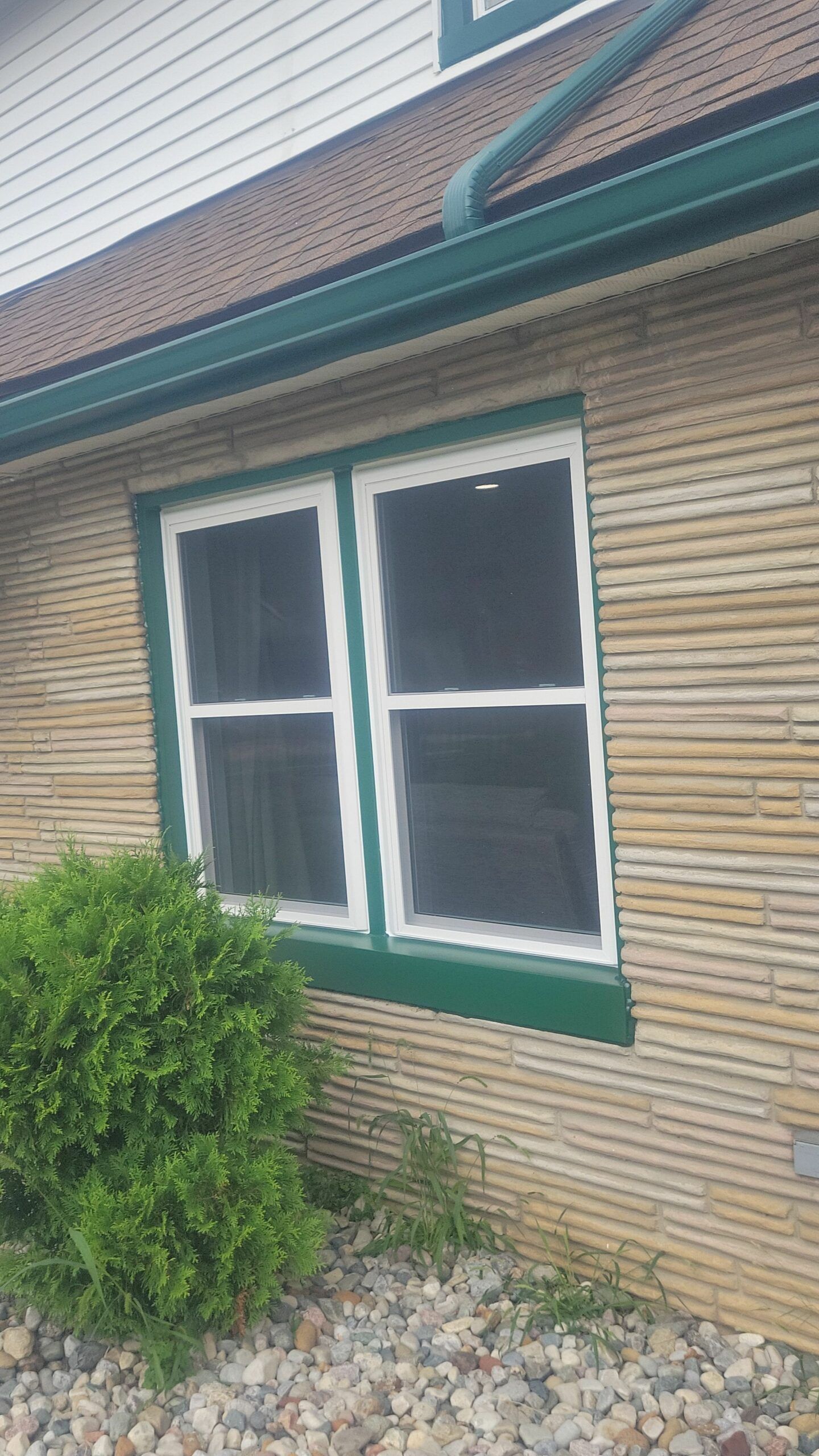 Two white-framed windows on a tan brick house with green trim, beside a bush and rock landscaping