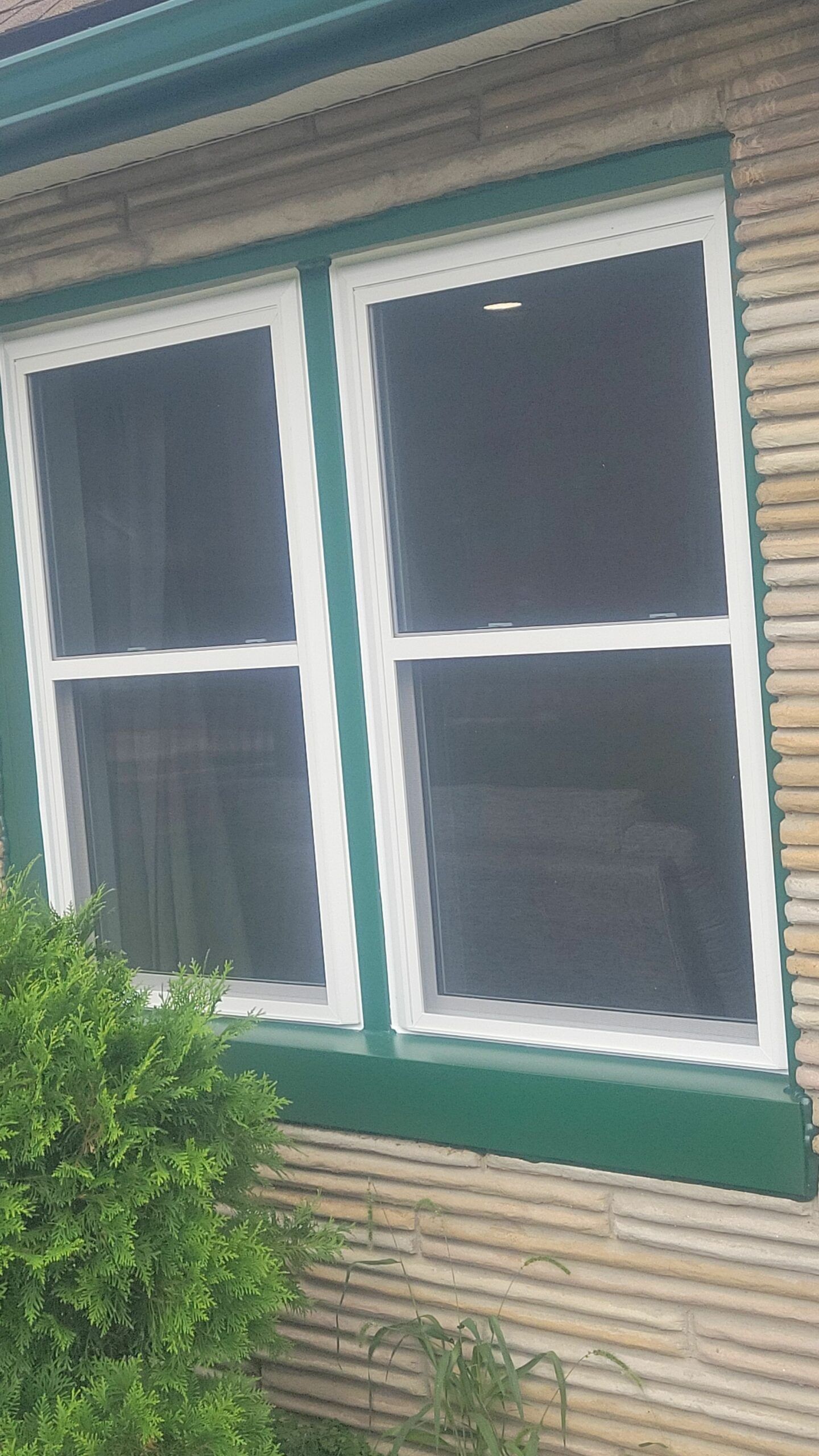 Two white-framed windows with green trim on a beige house exterior, partly obscured by a bush.