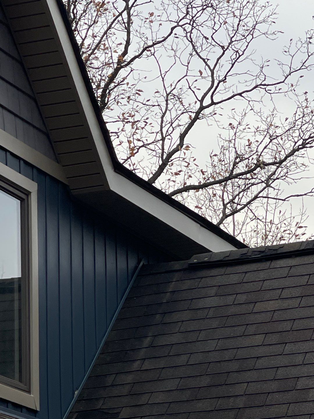 Blue house roof and siding with bare tree branches against an overcast sky