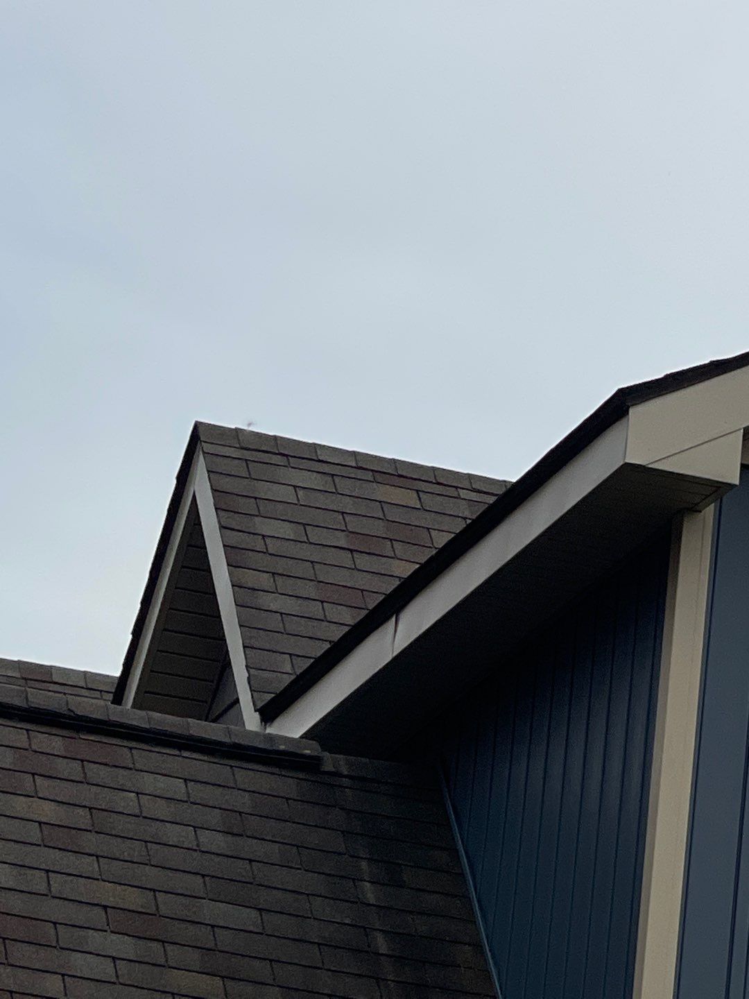 Roofline of a house with dark shingles and blue siding against a cloudy sky
