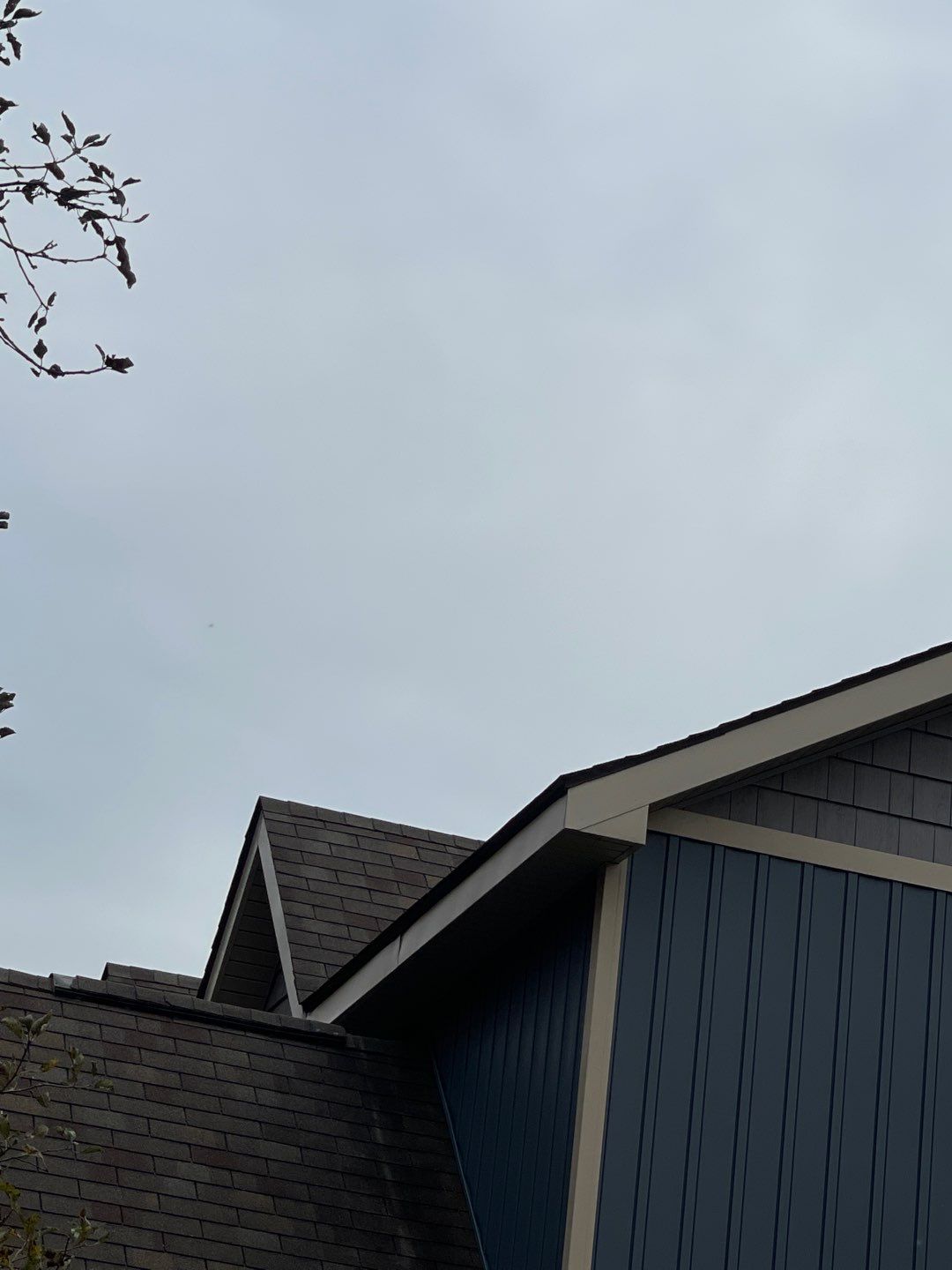 Roofline of a dark blue house against a cloudy gray sky, with bare branches in the corner