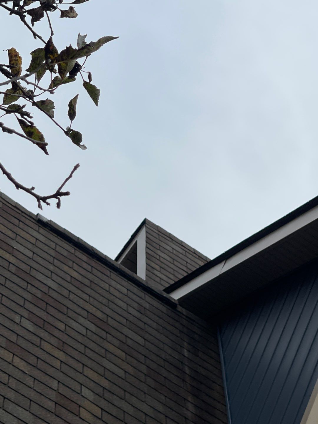 Dark gray house rooflines against an overcast sky, with bare branches in the upper left.