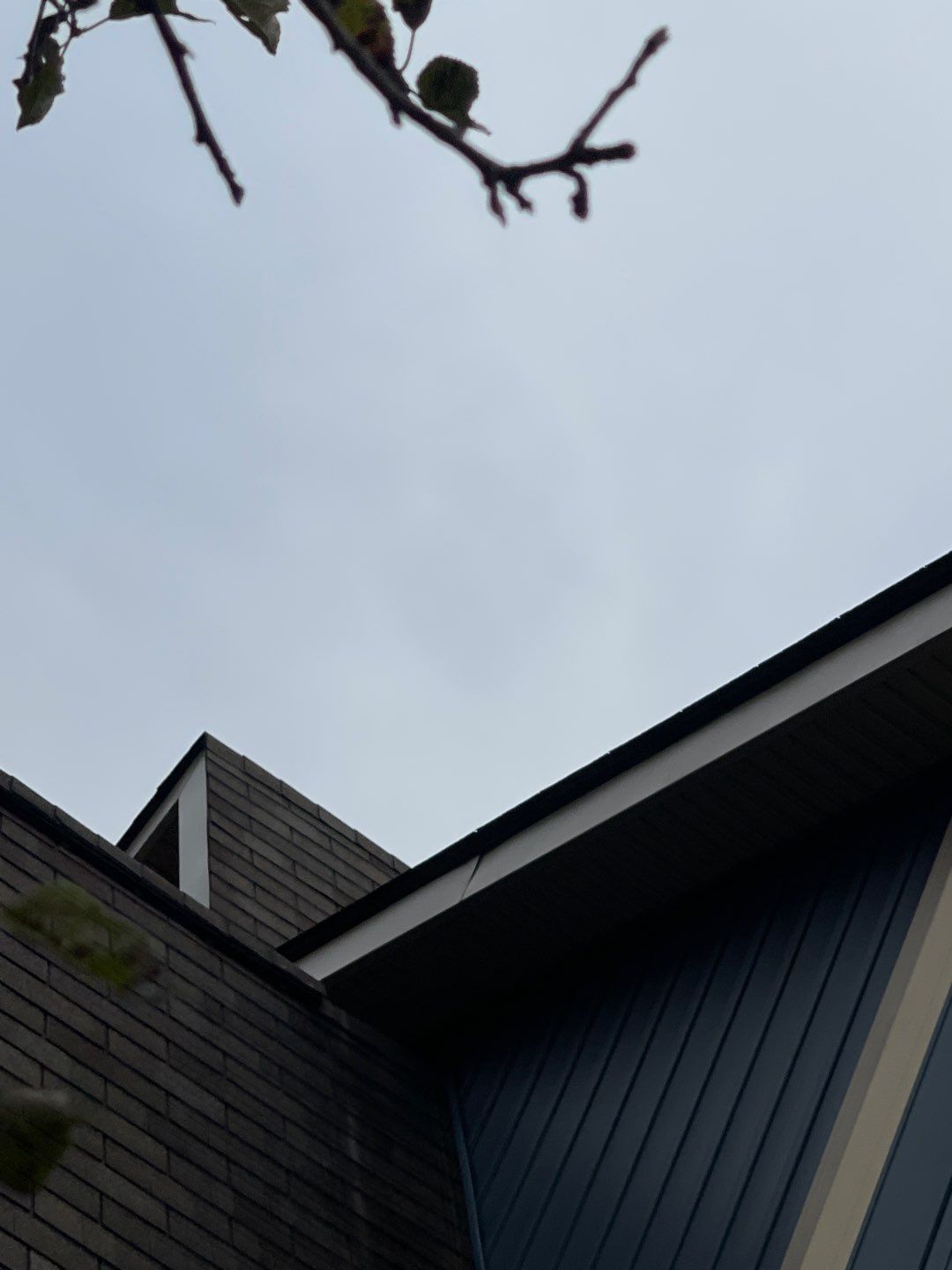 Cloudy sky above dark house rooflines, with bare branches at the top edge.