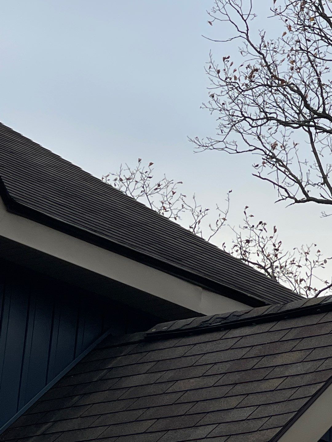 Close-up of dark shingled house roof against a pale sky with bare tree branches