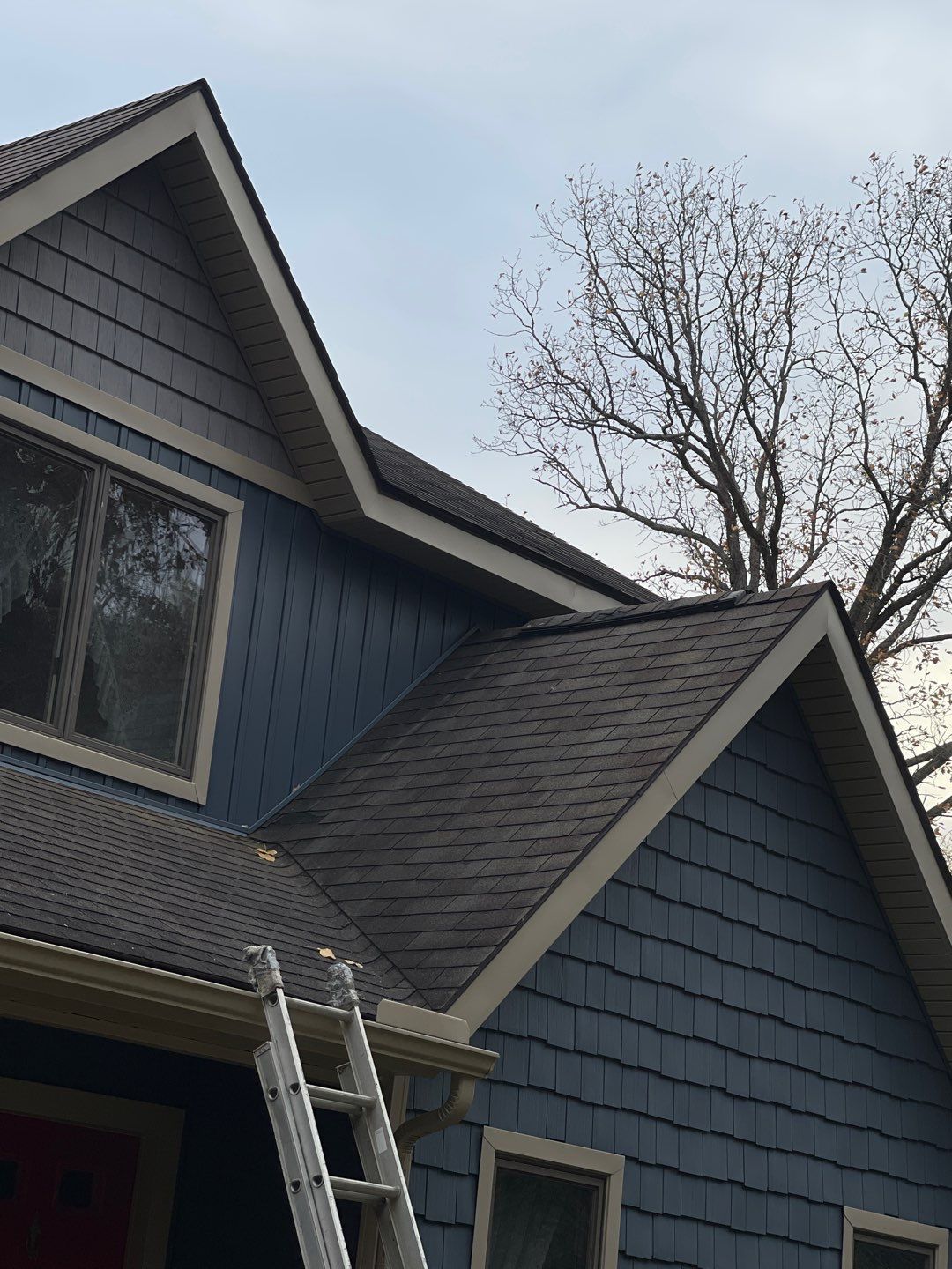 Blue house roof with a ladder leaning against it and a bare tree in the background