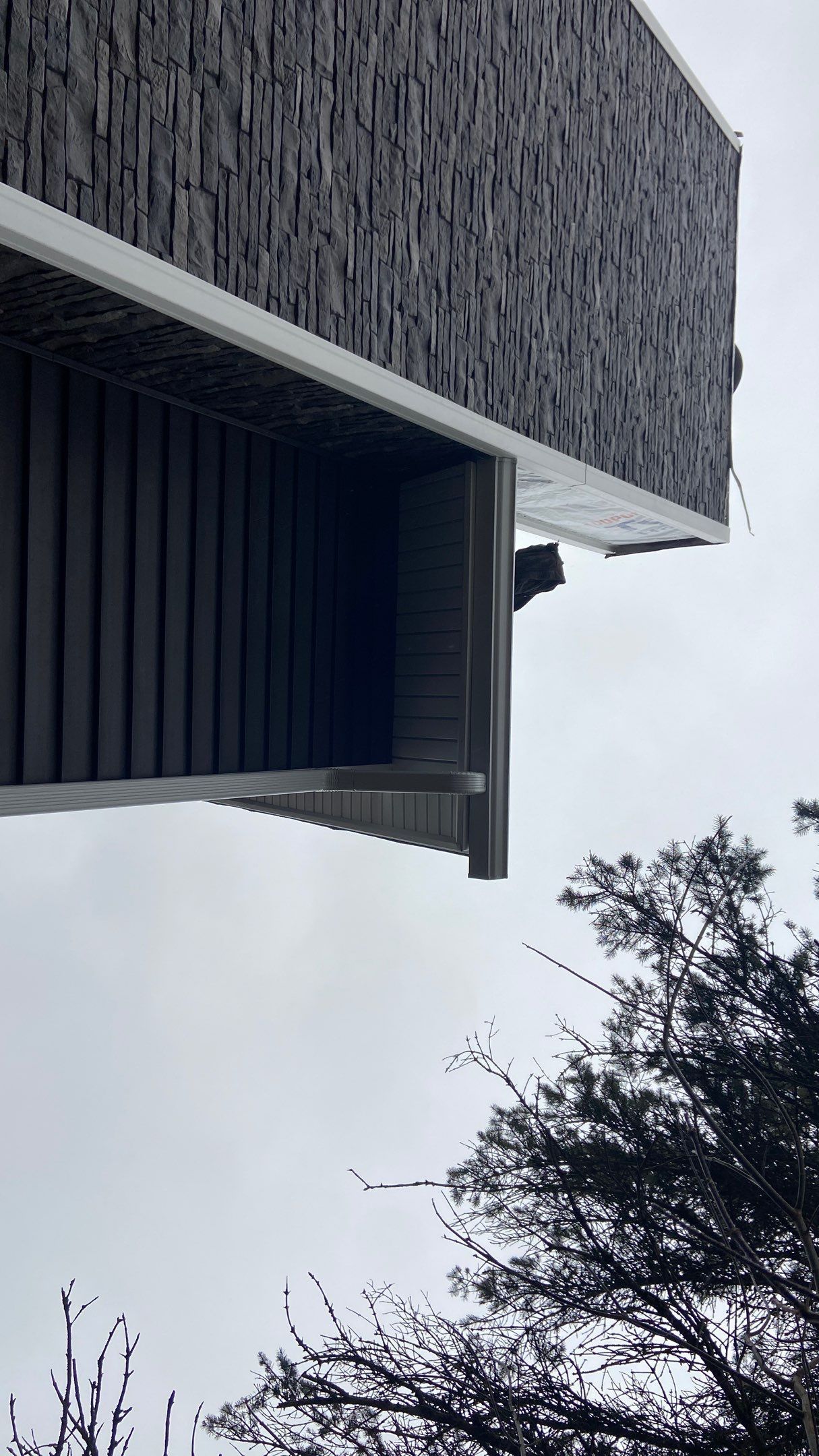 Low-angle view of a building corner with dark siding and bare sky, with tree branches below