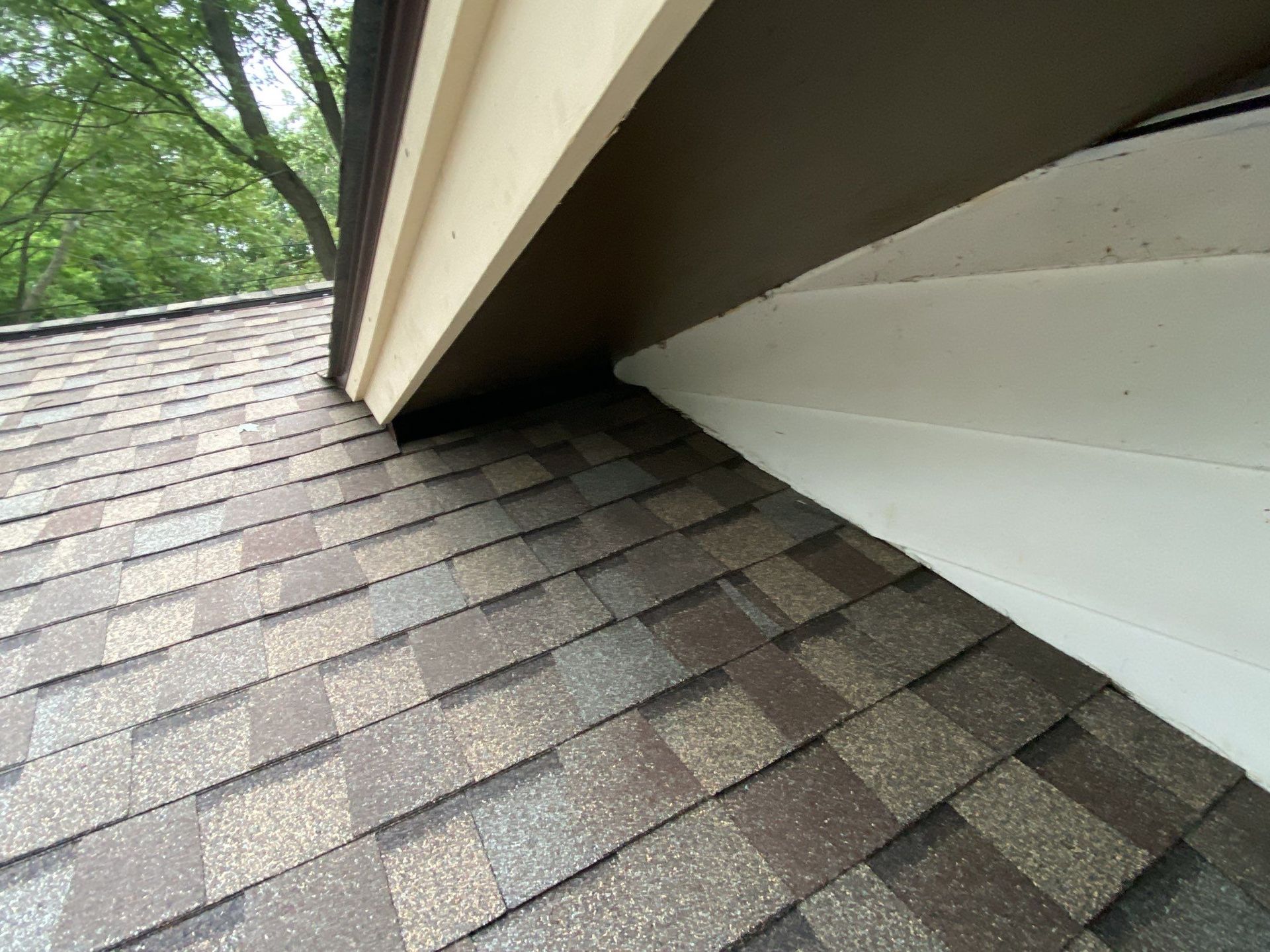 Close-up of shingle roof edge beneath white siding, with trees in the background