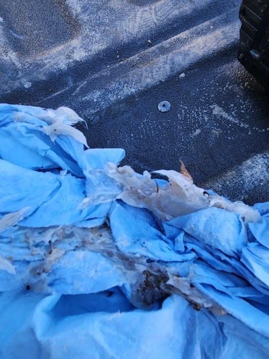 Blue plastic bags piled on the ground with a small tan animal in the center