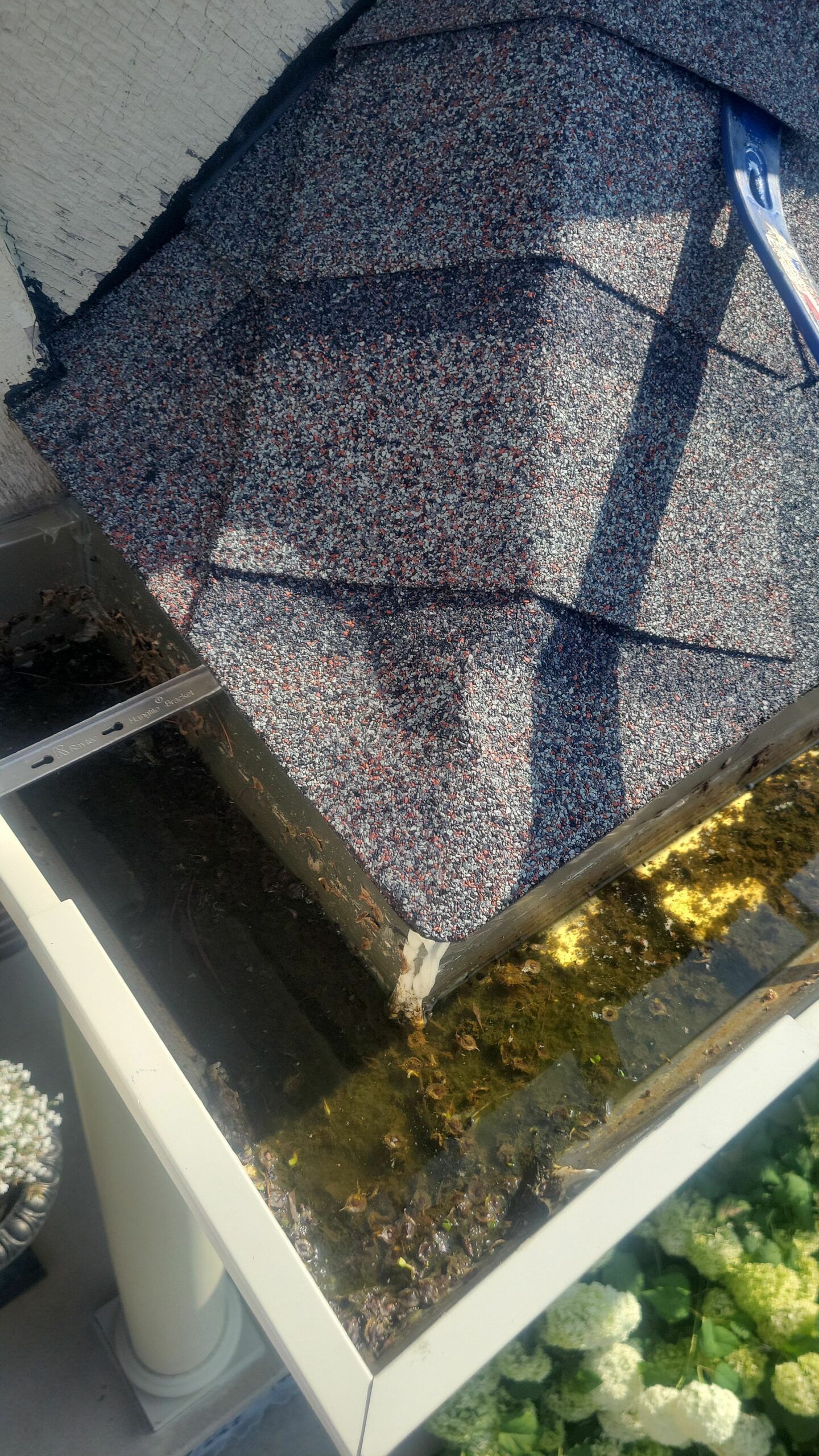 Shingled roof corner with white gutter and downspout above a bed of yellow flowers