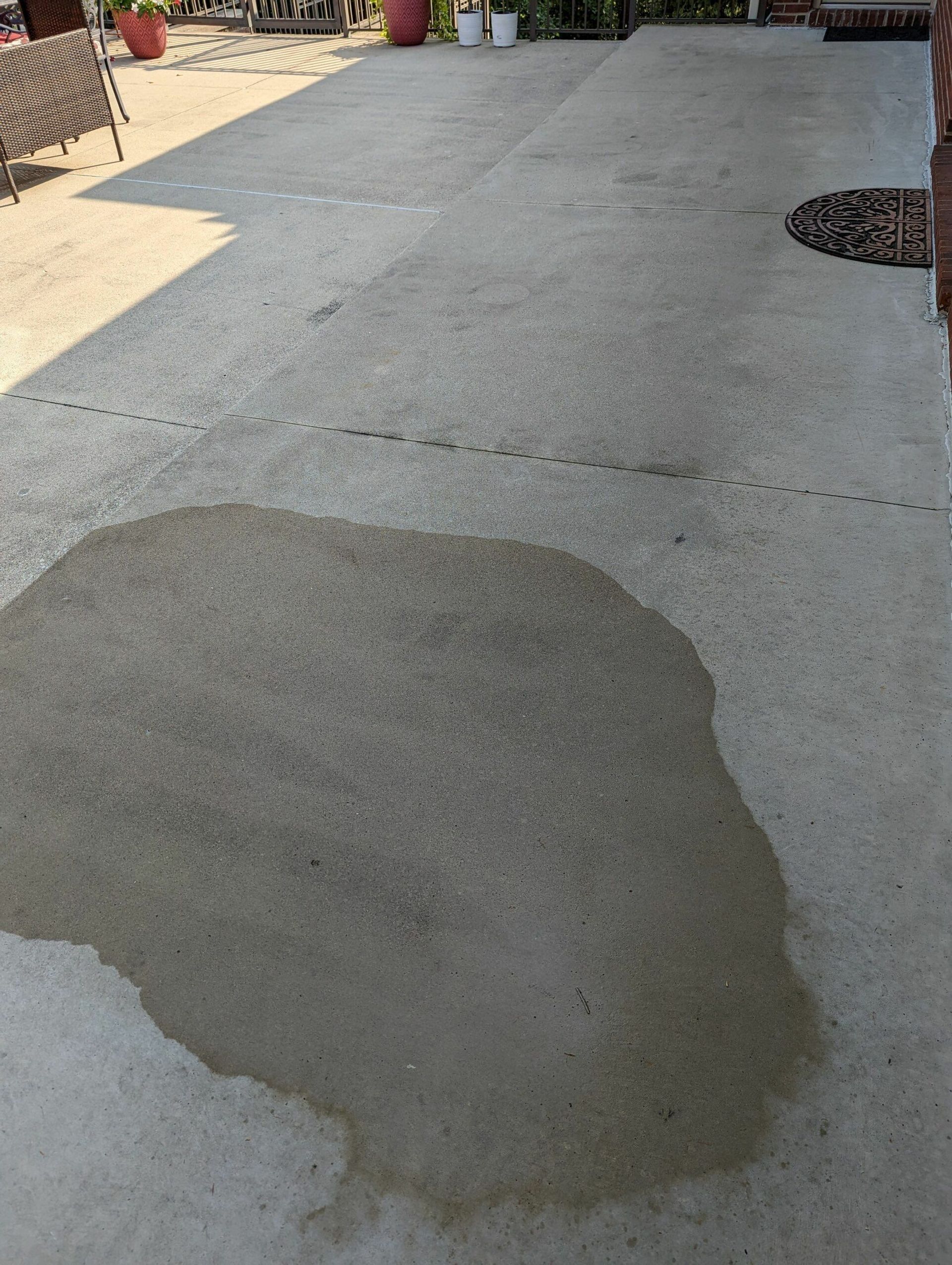 Driveway with a large wet patch on the concrete near a garden edge