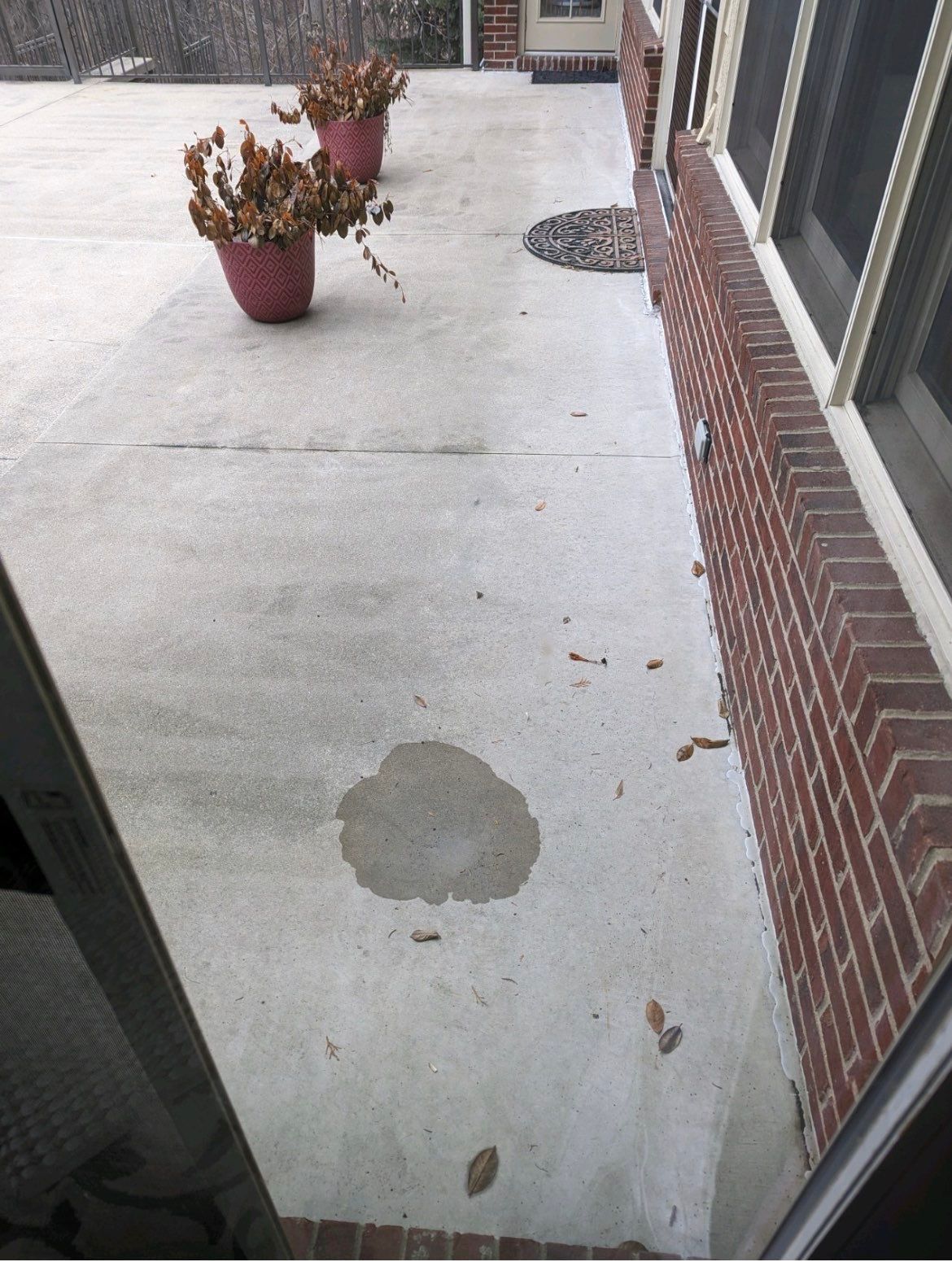 Concrete patio beside brick building with two potted plants and a wet stain on the ground