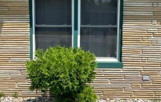 Bush in front of a beige brick house wall and window with green trim