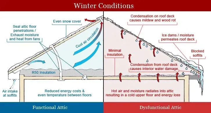 Winter conditions diagram showing functional vs dysfunctional arteries