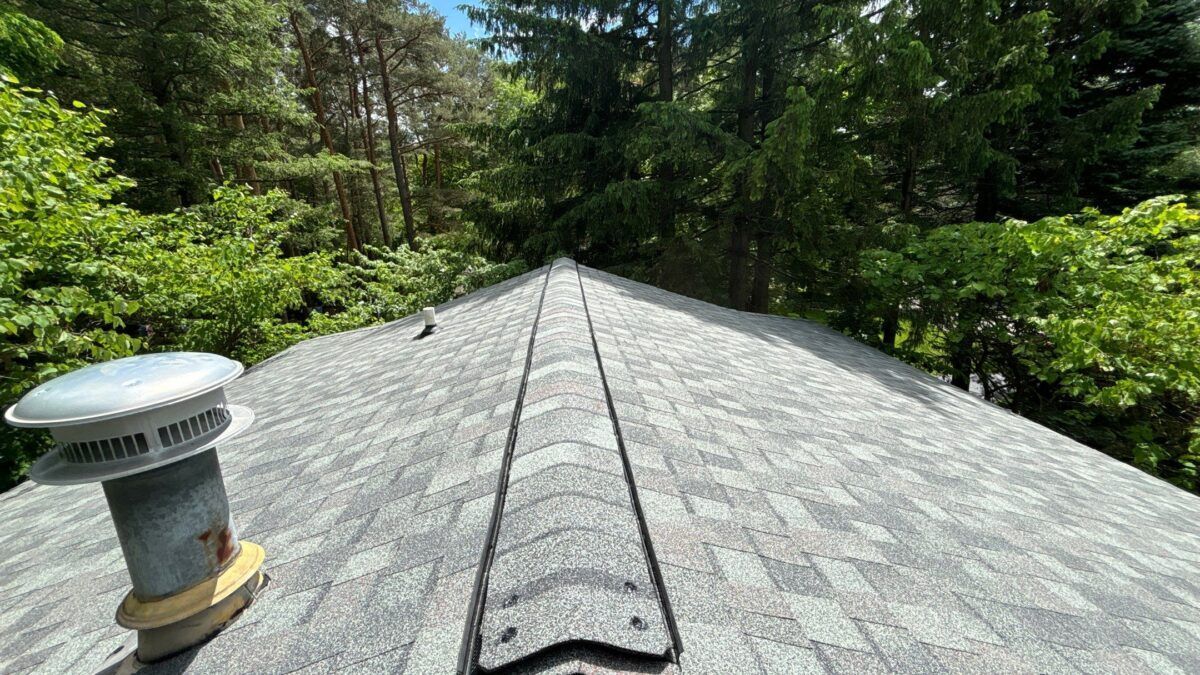 Gray shingled rooftop with a vent, surrounded by dense green trees