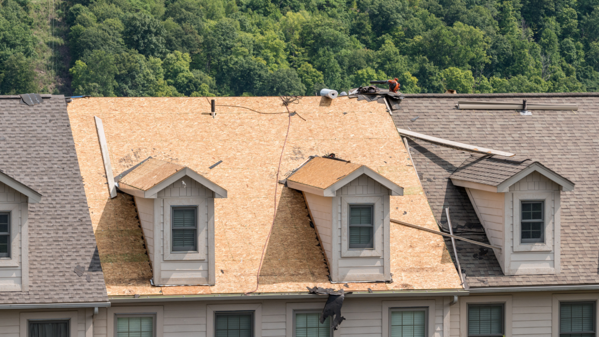 Row of dormer windows on a tan shingled roof with trees in the background