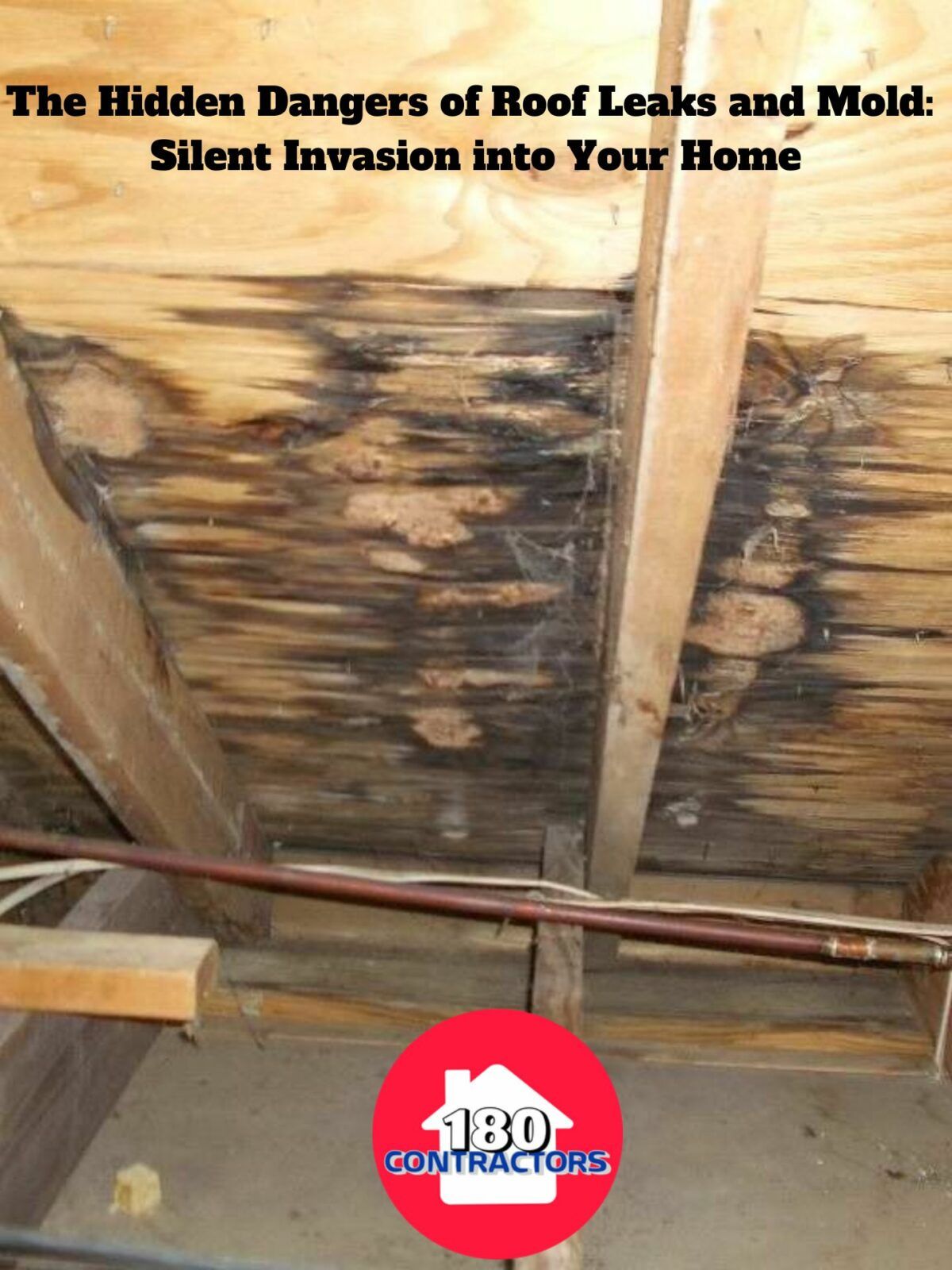Text on roof leak and mold dangers over photo of water-damaged attic rafters and mold stains.