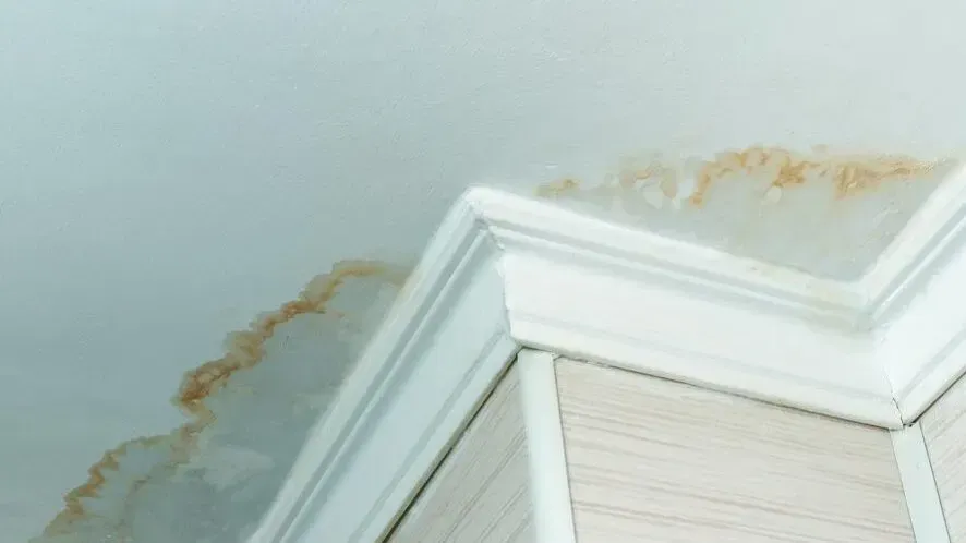 Water-stained ceiling and wall corner above a white window frame and molding