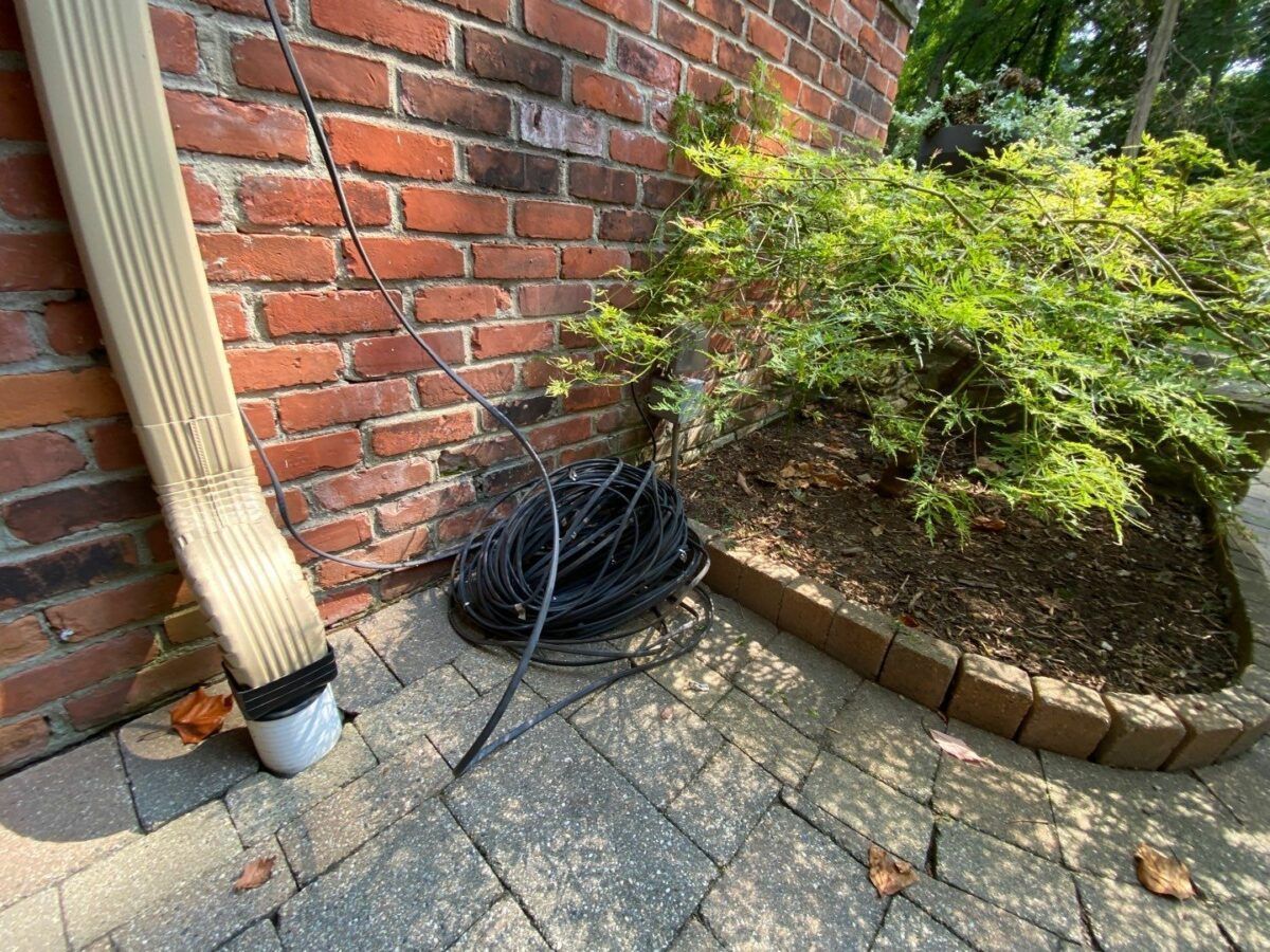 Coiled black cable beside a brick wall and downspout next to a shrub in a paved yard