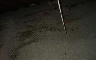 Dark, grainy ground at night with a thin vertical metal pole near the center-right.