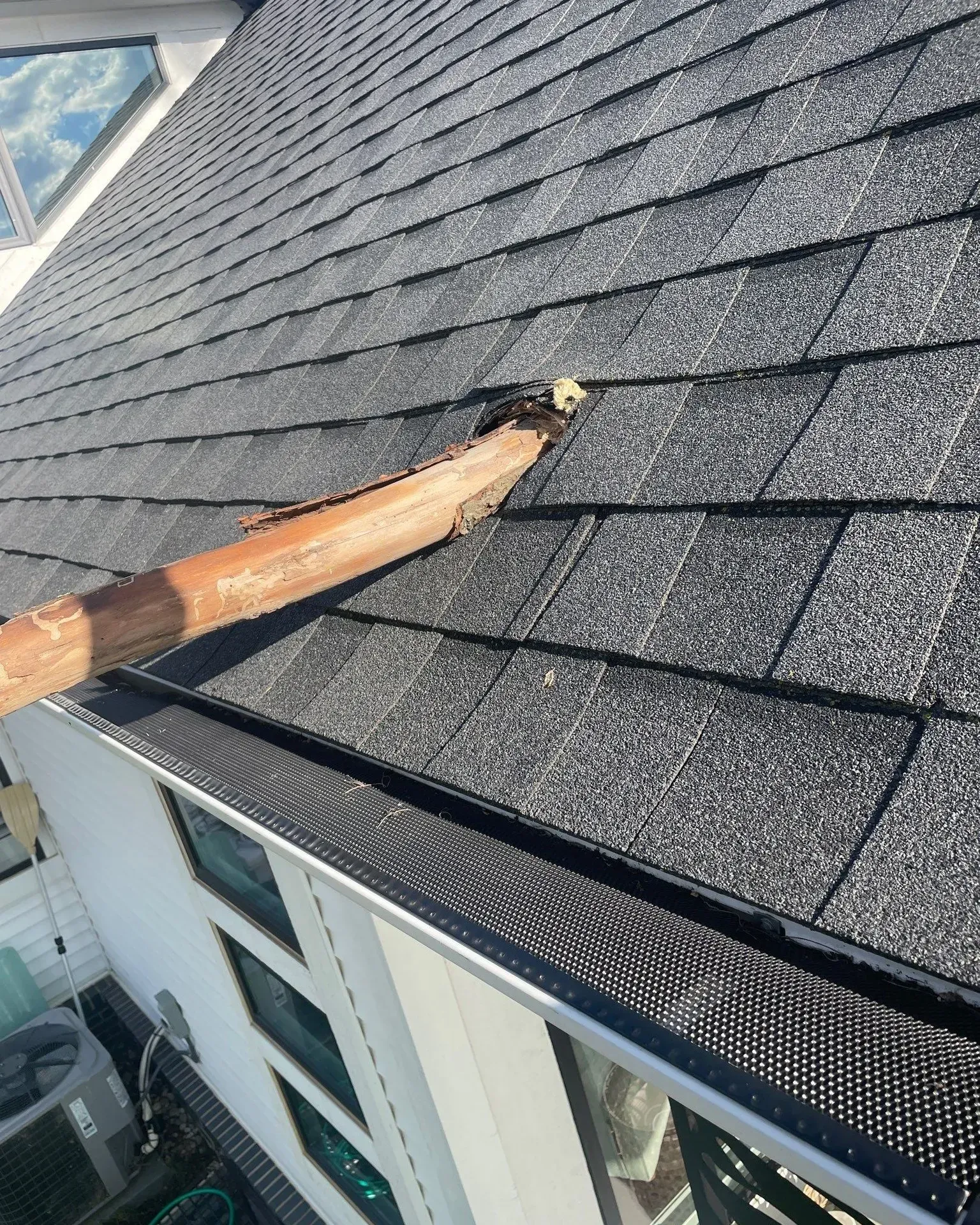 A large wooden tree branch has pierced and is protruding through the dark asphalt shingles of a house roof.