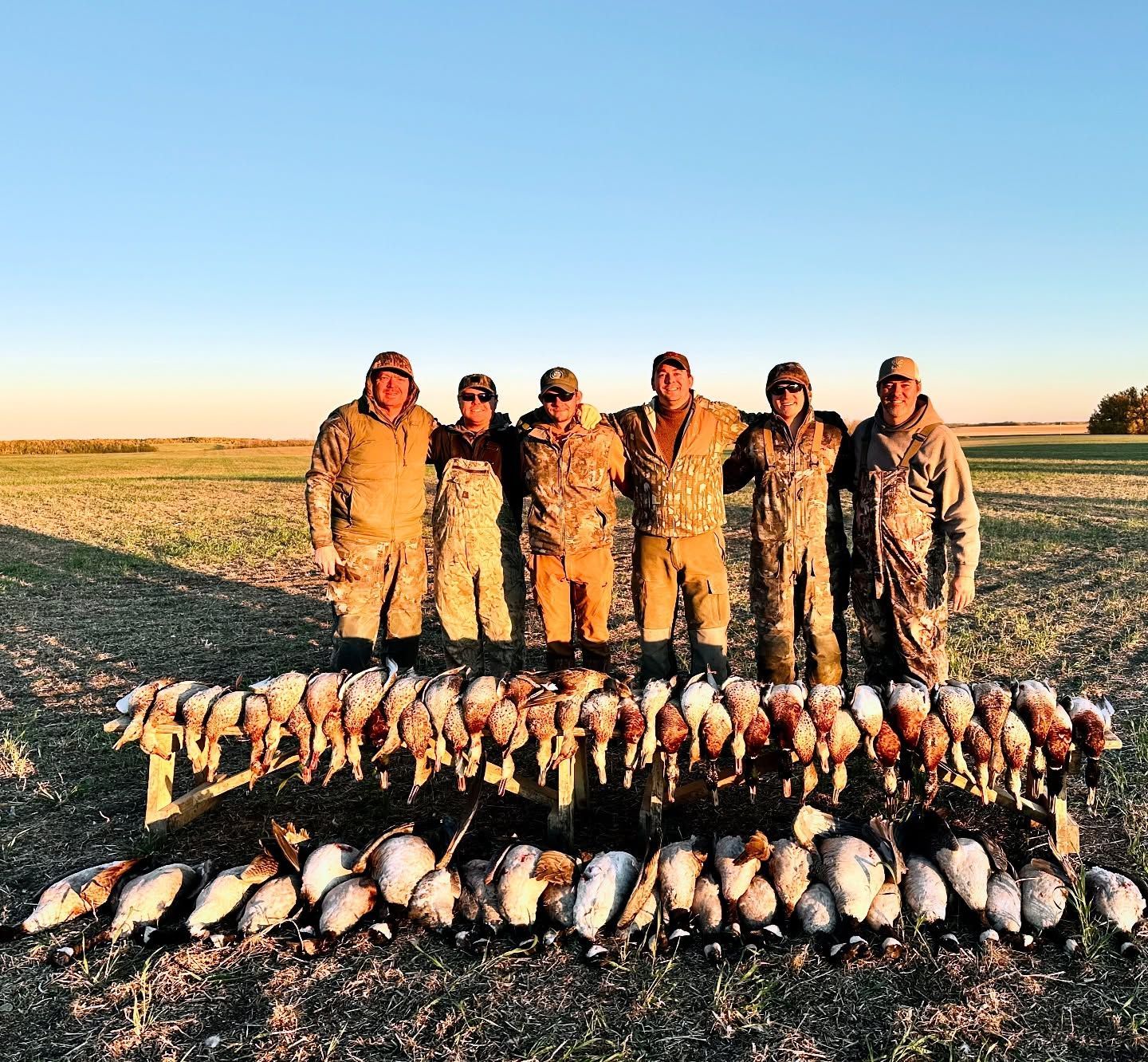 wingshooting hunting in Canada