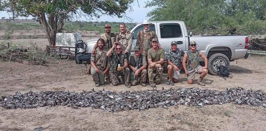 bird hunting outfitters