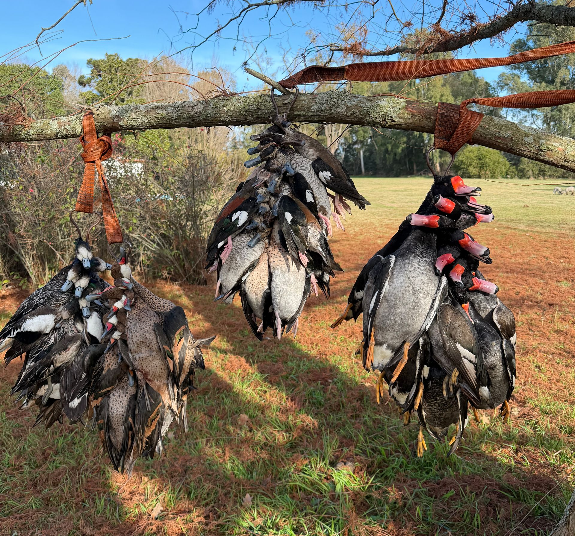 Duck hunting lodge