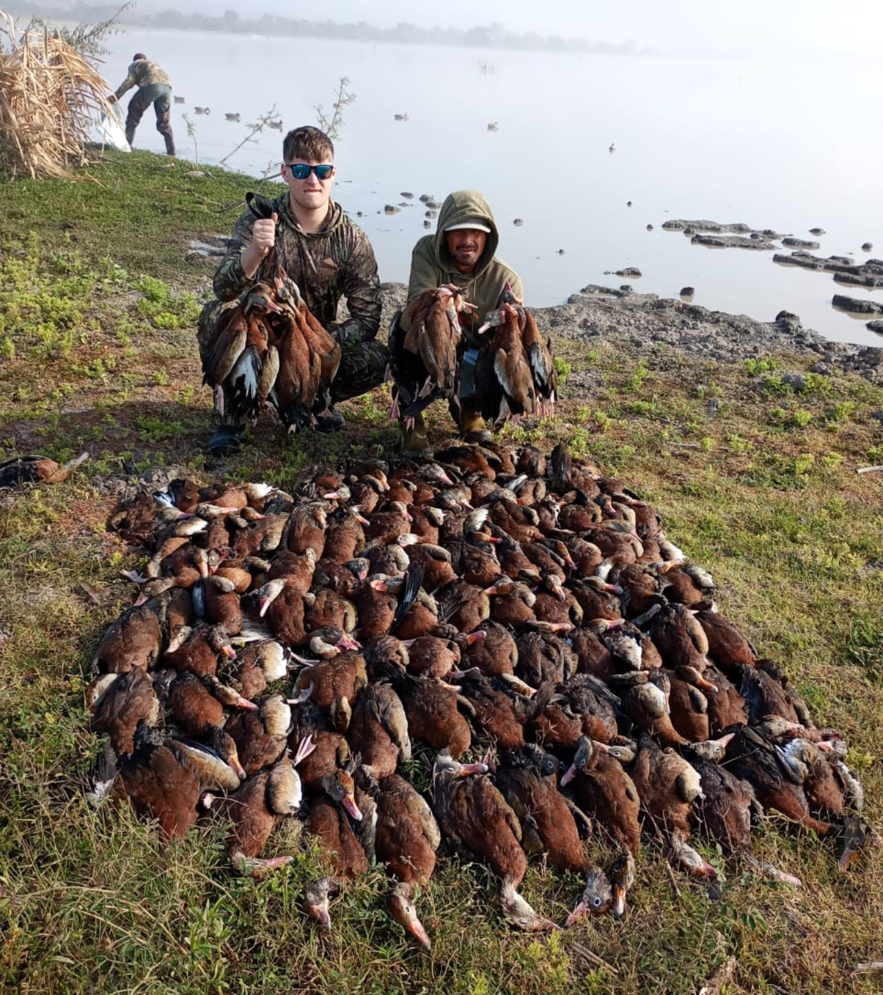 Two hunters kneel beside a large pile of ducks on a lakeshore, with more hunters in the misty background.