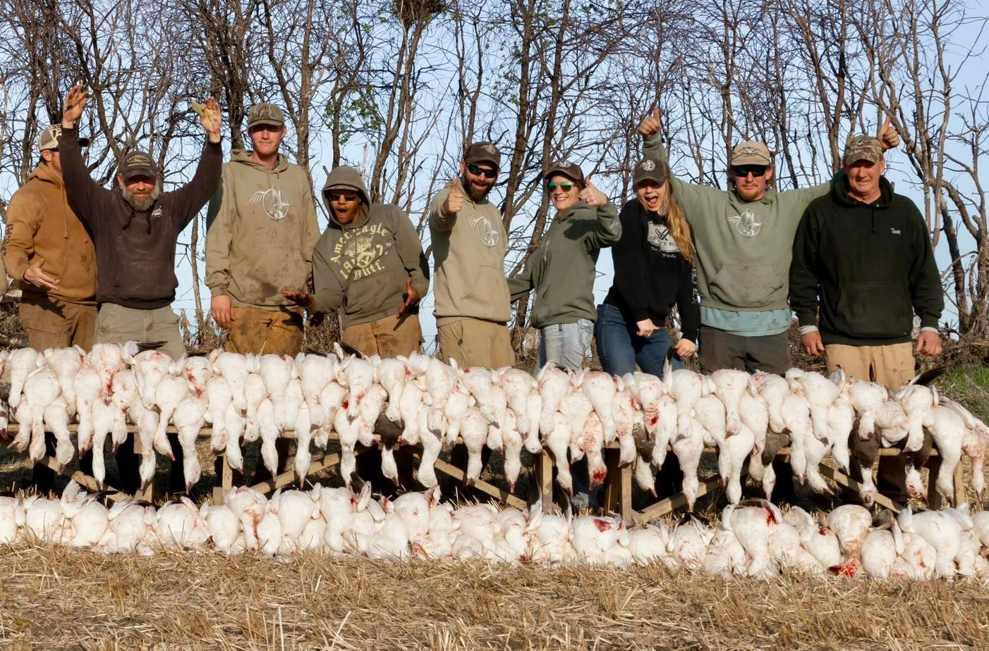 saskatchewan goose hunts