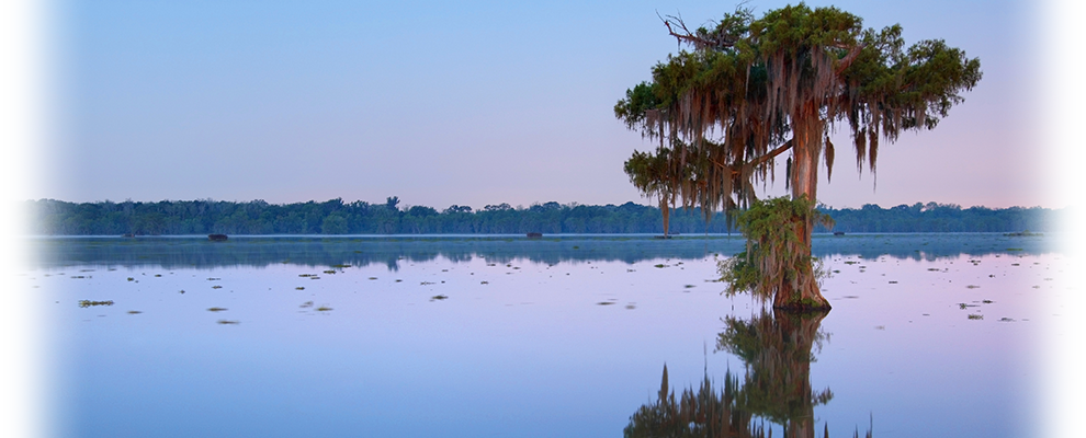 landry-law-firm-lafayette-louisiana